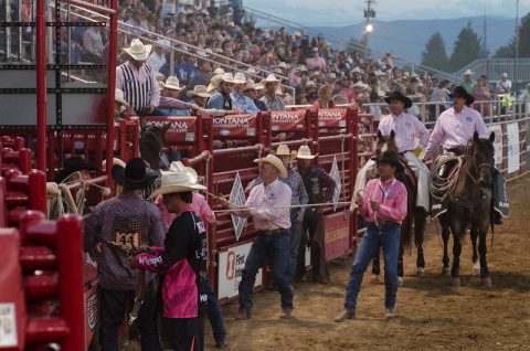 Opening the chutes at the Sheridan WYO Rodeo