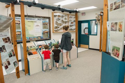 Exploring the museum at the Story Fish Hatchery