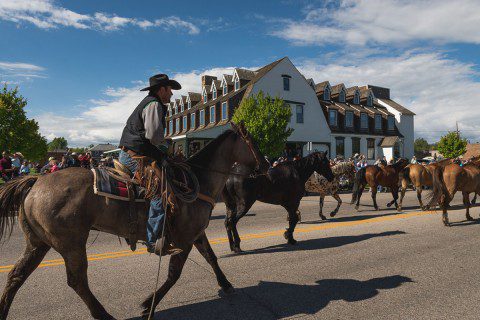 Eatons Horse Drive Festival in Sheridan Wyoming